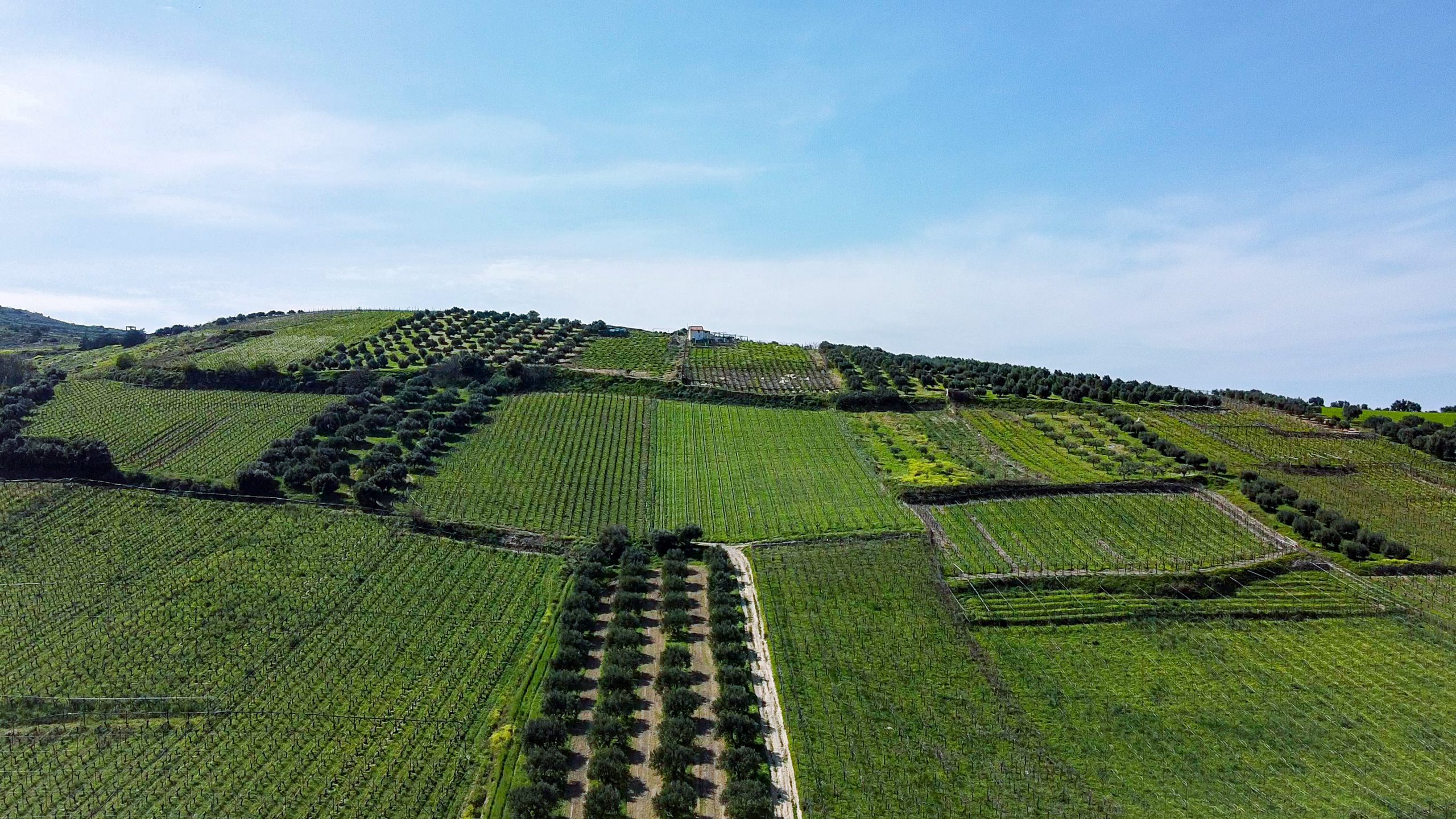 Breves comentários sobre a lei que instituiu os Fundos de Investimento nas Cadeias Produtivas Agroindustriais (FIAGRO)